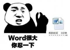 什么|word很大什么意思？ 一脸懵逼的你进来涨涨姿势