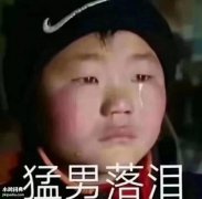 什么|猛男落泪什么意思？ 这梗指身材高大威猛的男生……