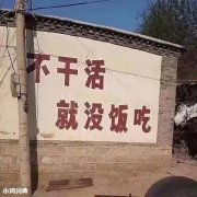 什么|都市隶人什么意思？这梗指为了生存每天精疲力竭，辛苦工作的打工人