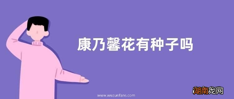 文章插图插图康乃馨花种子的种植方法（秋季播种）