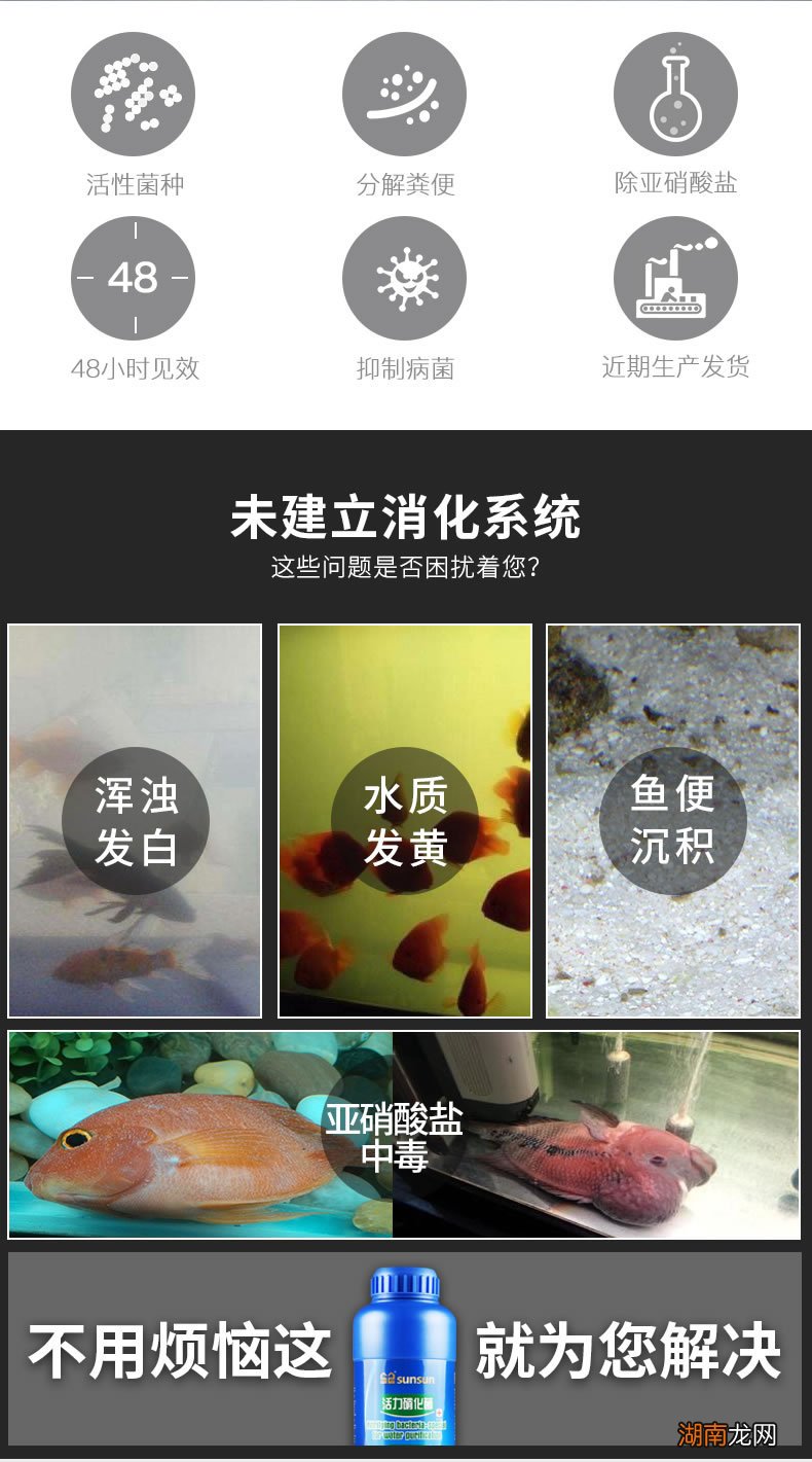 新鱼缸快速养水的方法，你知道这是怎么回事？